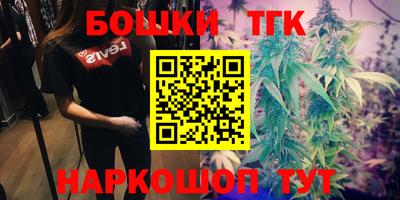 a pvp Лесосибирск